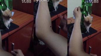 国产sM丝巾梱绑视频,国产SM丝巾梱绑技巧揭秘