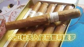 雪茄国产的最新视频,最新视频揭秘匠心独运的制作工艺