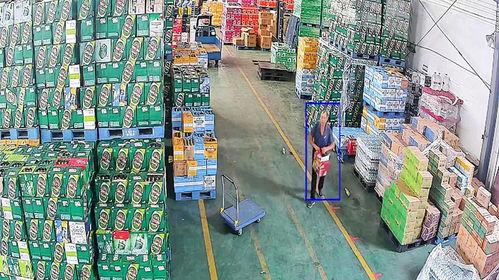 国产积木仓库实拍视频,缤纷积木世界，尽览创意无限